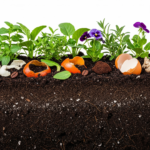 Grow Like a Pro